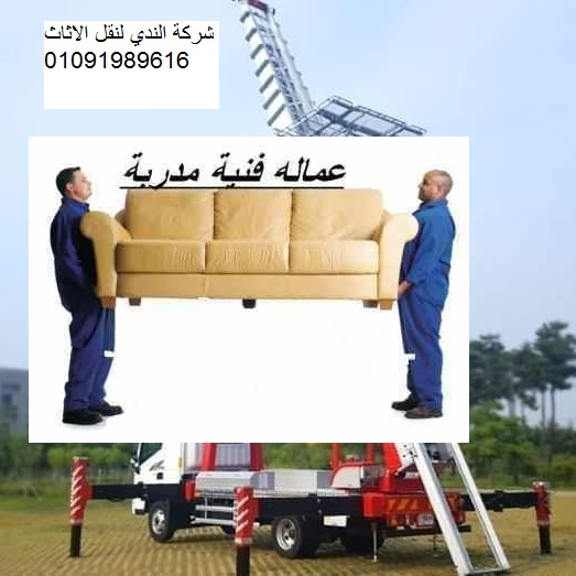 شركة نقل الاثاث فى المريوطية
